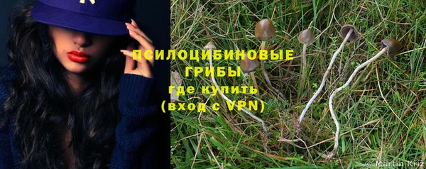 прущий лед Алзамай