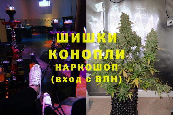 прущий лед Алзамай
